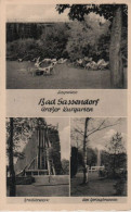 85078 - Bad Sassendorf - Grosser Kurgarten - 1962 - Bad Sassendorf