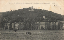 78 SAINT REMY LES CHEVREUSE CHÂTEAU DE MONTGOMERY - St.-Rémy-lès-Chevreuse