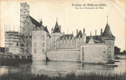 45 SULLY SUR LOIRE LE CHÂTEAU - Sully Sur Loire