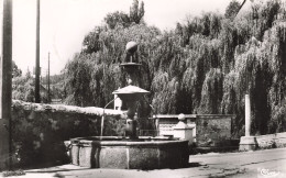 48 SAINT CHELY D APCHER LA FONTAINE - Saint Chely D'Apcher