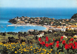 CAVALAIRE SUR MER La Perle Du Var Vue Generale 6(scan Recto-verso) MA559 - Cavalaire-sur-Mer