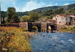 Environs De BESSE EN CHANDESSE Et SAINT NECTAIRE Le Vieux Pont De Saurier Sur La Couze Pavin 20(scan Recto-verso) MA587 - Besse Et Saint Anastaise