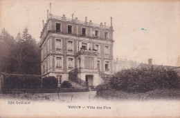 R19-89) TOUCY - VILLA DES PINS  - ANIMEE  - HABITANTS -  ( 2 SCANS ) - Toucy