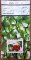 Brochure Brazil Edital 1999 02 Pitanga Fruit Without Stamp - Lettres & Documents