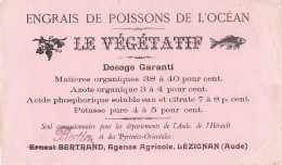 Buvard . LE VEGETATIF . BERTIN BERTRAND à LEZIGNAN . - Autres & Non Classés