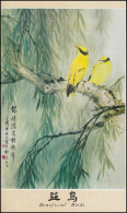 Gedenkkarte China 1823-1827 Vögel 1982, ESSt 10.9.82 - Altri & Non Classificati