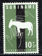 Pour La Protection Des Animaux : âne - Suriname