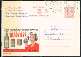 MAIN L 6 - BELGIQUE Entier Postal Publibel N° 2006 Pour Ferdinand Tierenteyn 1965 - Publibels