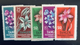 Telegrafo Fleurs MNH - Spanisch-Marokko