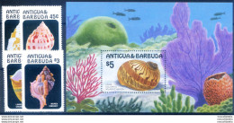 Conchiglie 1986. - Antigua Et Barbuda (1981-...)