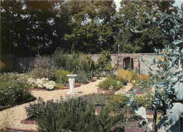 Angleterre - Petersfield - Physic Garden - A Recreation Of A 17th Century Garden - Jardins - Hampshire - England - Royau - Other & Unclassified