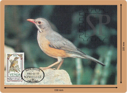 1985 Venda Postal Máximo Tordo-chicharro Turdus Libonyana Bird Birds Aves Maximum Maxicard Song Nzhelele - Venda