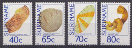 SURINAM 1984 MNH** - Conchiglie