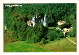 N°1064 Z -cpsm Château De Puyguilhem - Castelli