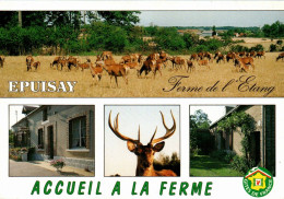 N°1064 Z -cpsm Accueil à La Ferme -Epuisay- - Bauernhöfe