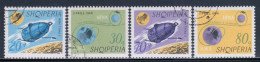 Albania 1966 Mi# 1067-1070 Used - Launching Of The 1st Artificial Moon Satellite, Luna 10 / Space - Europa
