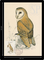 1987 Portugal Madeira Postal Máximo Coruja Tyto Alba Schmitzi Maxicard Maximum Cpm Bird Birds  Owl Hibou - Maximum Cards & Covers
