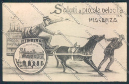 Piacenza Città Saluti Da Cartolina MV2645 - Piacenza