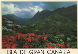 133513 - Gran Canaria - Spanien - Valle De Agaete - Gran Canaria