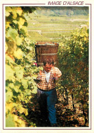 Vignes - Scènes De Vendanges - Les Vendanges En Alsace - CPM - Voir Scans Recto-Verso - Vignes