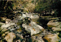 86 - Montmorillon - Le Saut De La Brame Aux Environs De Montmorillon - Carte Neuve - CPM - Voir Scans Recto-Verso - Montmorillon