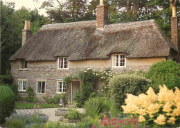 Angleterre - Dorchester - Thomas Hardy's Birthplace - Higher Bockhampton - The Cottage Dates From 1800 - Dorset - Englan - Autres & Non Classés