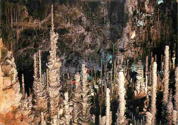 48 - Meyrueis - Grotte De L'Aven Armand - Vue D'ensemble - CPM - Voir Scans Recto-Verso - Meyrueis