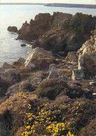 29 - Presqu'ile De Crozon - La Cote Près Du Château De Dinan - Voir Scans Recto Verso  - Crozon