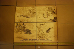 A1 Ancienne Affiche - Protection Des Animaux - Animaux Utiles Et Méconnus - Posters