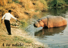 Gabon- NGUVU, L'Hippopotame Du DJOUÉ " " A Ta Ndélé"* 2scans - Other & Unclassified