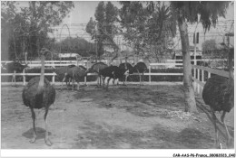 CAR-AASP6-0443 - FRANCE - CARTE PHOTO - A IDENTIFIER - AUTRUCHES - Foto's