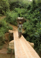 Gabon- Femme Portant Du Bois Sur Son Dos - Paysage Du NIARI * 2scans - Otros & Sin Clasificación