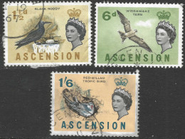 Ascension. 1963 QEII. Birds. 1½d, 6d, 1/6 Used. SG 71, 75, 79 - Ascensión