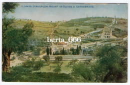Jerusalem Mount Of Olives And Gethsemane Celesque Series - Palestine