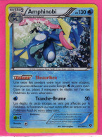 Carte Pokemon Francaise 2014 Xy Xy 41/1046 Amphinobi 130pv Holo Dos Blanchi - XY