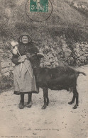 Auvergnate Et Sa Chèvre - Auvergne