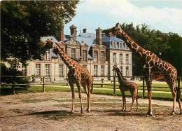 Animaux - Girafes - Réserve Africaine Du Château De Thoiry En Yvelines - Girafe Réticulée Et Son Petit Né à Thoiry - Gir - Jirafas