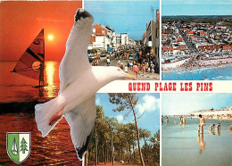 80 - Quend Plage Les Pins - Multivues - CPM - Voir Scans Recto-Verso - Quend