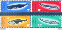 Fauna. Cetacei 1977. - Altri & Non Classificati