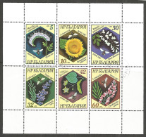 Bulgaria 1987 Used Stamps S/S Block Flowers - Hojas Bloque