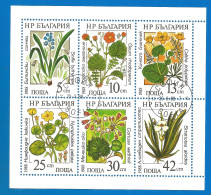 Bulgaria 1988 Used Stamps S/S Block Flowers - Hojas Bloque