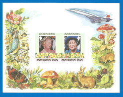 Montserrat , Queen Elizabeth, Mint Block MNH (**) Imperf.  - Montserrat