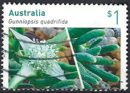 AUSTRALIA 2017 $1 Multicoloured, Australian Succulents-Gunniopsis Quadrifida SG4752 Used - Usati