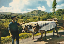 CPSM ATTELAGE BASQUE - Attelages