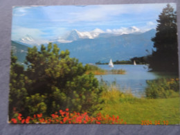 THUNERSEE MIT SCHRECKHORN - Spiez