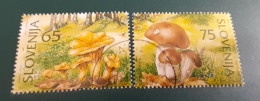 Mushrooms  Slovenia 1996 Used Stamps - Slovénie