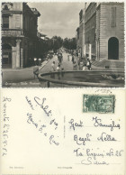 GROSSETO -VIALE MATTEOTTI ANIMATA 1952 - Grosseto