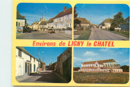89* LIGNY LE CHATEL   CPM (10x15cm)                                   MA60-0777 - Ligny Le Chatel