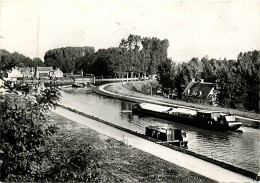 45* CHATILLON SUR LOIRE   Canal  (CPSM 10x15cm)               MA64-0529 - Chatillon Sur Loire