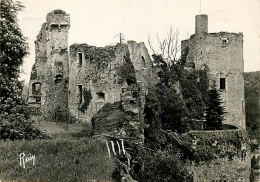 44* CLISSON   Tour - Donjon  (CPSM 10x15cm)         MA64-0466 - Clisson